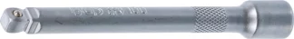 Rallonge basculant | 6,3 mm (1/4") | 100 mm