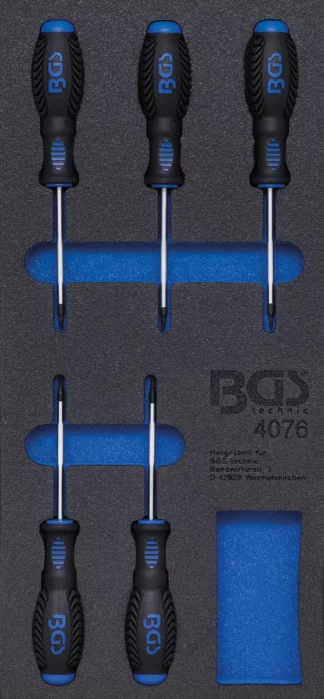 Insert de servante d'atelier 1/3 : Tournevis profil T (pour Torx) | 5 pièces
