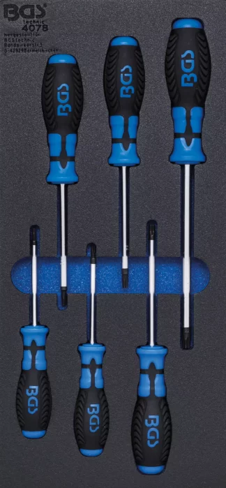 Insert de servante d'atelier 1/3 : Tournevis profil T (pour Torx) | 6 pièces