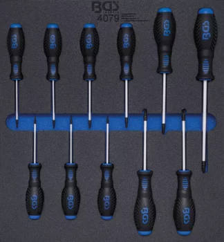 Insert de servante d'atelier 2/3 : Tournevis | Profil T (pour Torx) T6 - T40 | 11 pièces