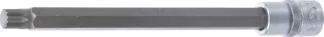 Douille à embouts | longueur 200 mm | 12,5 mm (1/2") | denture multiple intérieure (pour XZN) M12