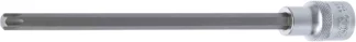 Douille à embouts | longueur 200 mm | 12,5 mm (1/2") | profil T (pour Torx) T50