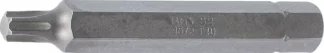 Embout | Longueur 75 mm | 10 mm (3/8") | profil T (pour Torx) T40