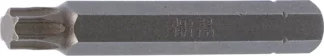 Embout | Longueur 75 mm | 10 mm (3/8") | profil T (pour Torx) T50