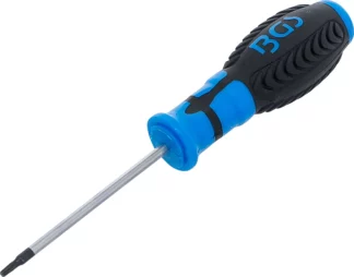Tournevis | profil T (pour Torx) T10 | longueur de la lame 80 mm