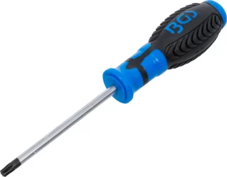 Tournevis | profil T (pour Torx) T30 | longueur de la lame 100 mm