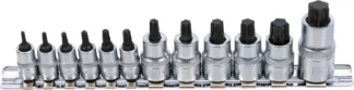 Jeu de douilles à embouts | extra courtes | Profil T (pour Torx) T8 - T60 | 12 pièces