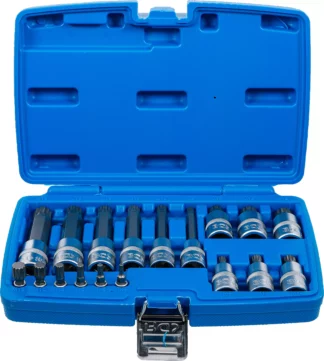 Jeu de douilles à embouts | 6,3 mm (1/4") / 12,5 mm (1/2") | Denture multiple intérieure (pour XZN) | 18 pièces
