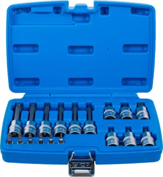 Jeu de douilles à embouts | 6,3 mm (1/4") / 12,5 mm (1/2") | Profil T (pour Torx) avec perçage | 18 pièces