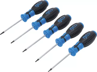 Jeu de tournevis | Profil T (pour Torx) avec perçage | T6 - T10 | 5 pièces