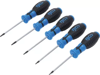 Jeu de tournevis | Profil T (pour Torx) T6 - T10 | 5 pièces