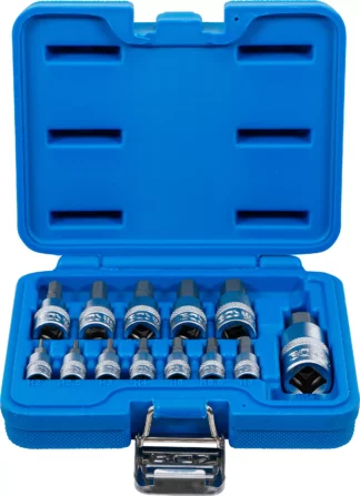 Jeu de douilles à embouts | 6,3 mm (1/4") / 10 mm (3/8") / 12,5 mm (1/2") | six pans intérieurs 2 - 14 mm | 13 pièces