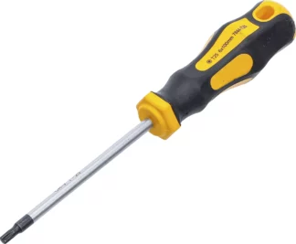 Tournevis | profil T (pour Torx) T25 | longueur de la lame 100 mm