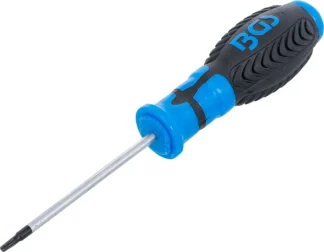 Tournevis profil T (pour Torx) avec perçage T10 | longueur de la lame 80 mm