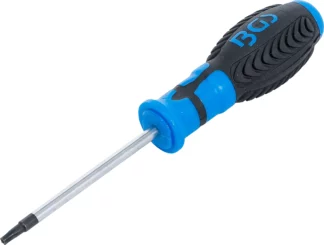Tournevis profil T (pour Torx) avec perçage T20 | longueur de la lame 80 mm