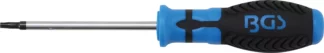 Tournevis profil T (pour Torx) avec perçage T25 | longueur de la lame 100 mm