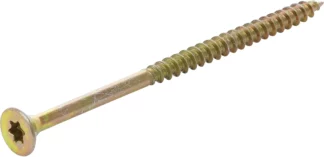 Vis multifonctions | profil en T (pour Torx) T25 | 6,0 x 100 mm | 20 pièces