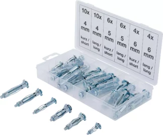 Assortiment de chevilles de chevilles Molly | 40 pièces