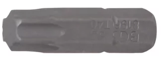 Embout | Longueur 25 mm | 6,3 mm (1/4") | profil T (pour Torx) T40