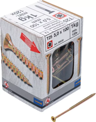 Vis multifonctions | profil en T (pour Torx) T25 | 5,0 x 100 mm  | 1 kg / 120 pièces