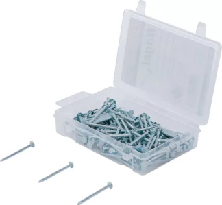 Assortiment de clous | 200 g | 2,5 x 40 mm